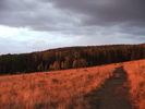 photo thumbnail #5
