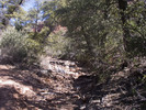 photo thumbnail #8