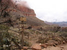 photo thumbnail #10