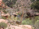 photo thumbnail #5
