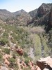 photo thumbnail #9