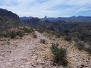 photo thumbnail #4