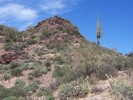 photo thumbnail #8