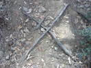 photo thumbnail #9