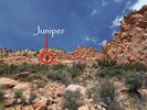 photo thumbnail #1