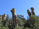 photo thumbnail #10