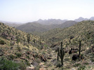 photo thumbnail #3