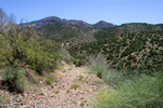 photo thumbnail #9