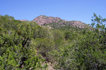 photo thumbnail #13