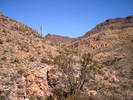 photo thumbnail #5
