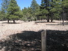 photo thumbnail #13