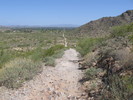 photo thumbnail #1