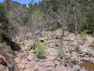 photo thumbnail #1