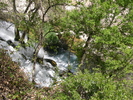 photo thumbnail #13