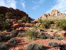 photo thumbnail #7