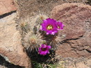 photo thumbnail #1
