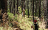 photo thumbnail #5