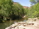 photo thumbnail #7