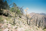 photo thumbnail #10