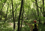 photo thumbnail #6