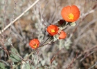 photo thumbnail #14