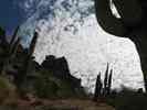 photo thumbnail #8