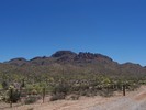 photo thumbnail #2