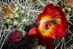 photo thumbnail #2