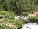 photo thumbnail #11