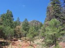 photo thumbnail #10