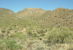 photo thumbnail #4