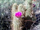 photo thumbnail #8