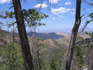 photo thumbnail #4