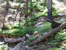 photo thumbnail #7