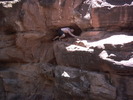 photo thumbnail #7