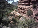photo thumbnail #10