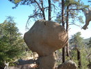 photo thumbnail #6