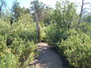 photo thumbnail #8