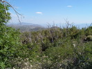 photo thumbnail #15