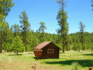 photo thumbnail #4