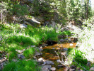 photo thumbnail #8
