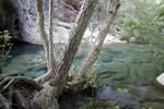photo thumbnail #11