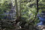 photo thumbnail #13