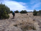 photo thumbnail #2