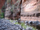 photo thumbnail #12