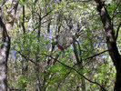 photo thumbnail #12