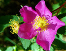 photo thumbnail #9