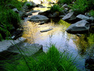 photo thumbnail #11