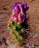 photo thumbnail #6