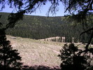 photo thumbnail #13